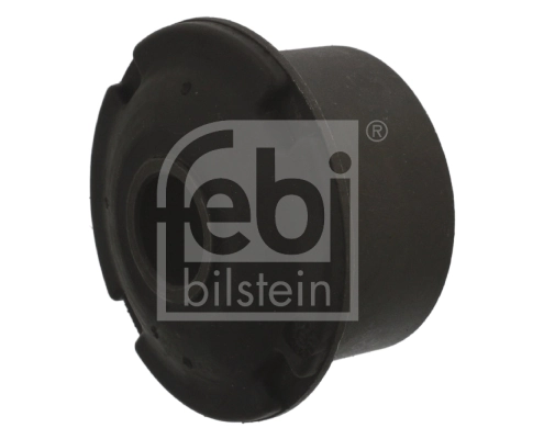 Mounting, control/trailing arm